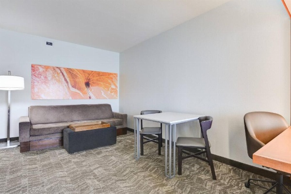 SpringHill Suites by Marriott Shreveport-Bossier City/Louisiana Downs image 17